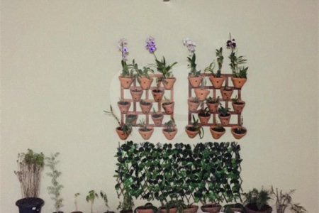 Casa à venda com 3 quartos, sendo 1 suíte, em Jardim Pinheiros, São Paulo, SP