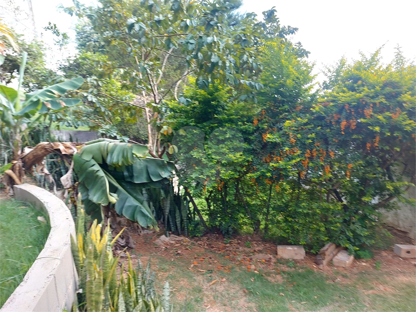 Sobrado à venda com 5 suítes no Centro, Vinhedo, SP