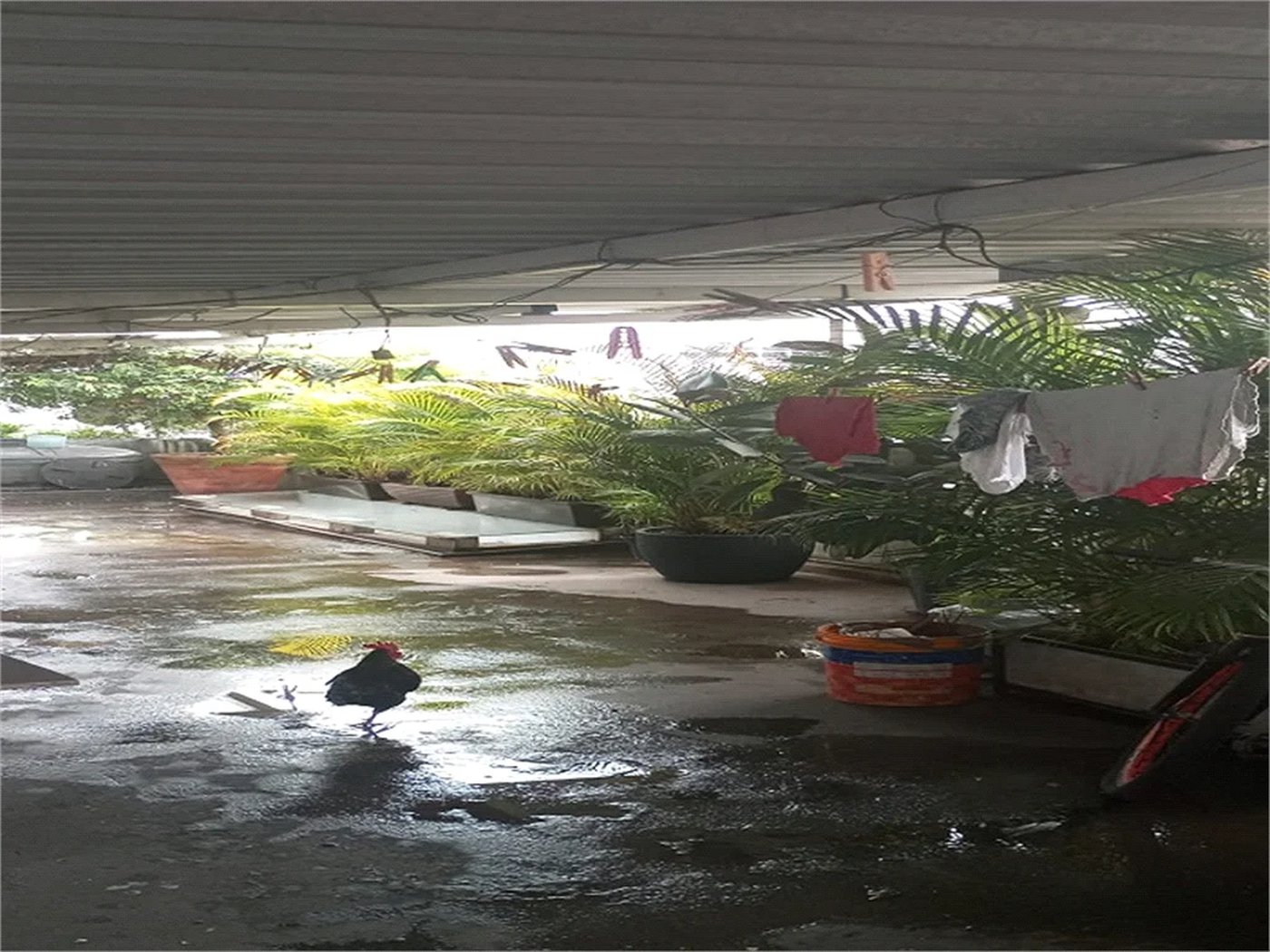 Casa à venda com 3 quartos, sendo 1 suíte,  em Lapa de Baixo, São Paulo, SP