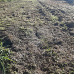 Terreno à venda no condomínio Terras de Santa Izabel, Salto - SP
