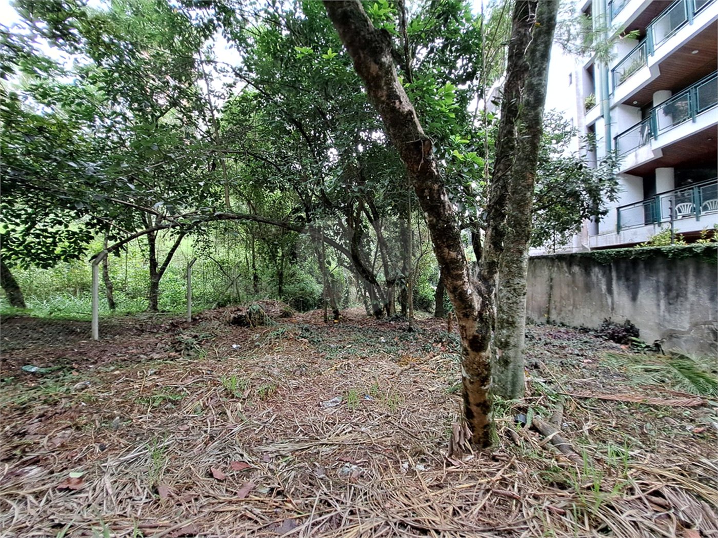 Terreno à venda em Jardim Ampliação, São Paulo, SP