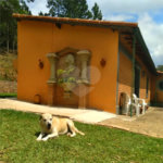 Sítio à venda com 6 quartos, sendo 5 suítes,  em Curral, Ibiúna, SP