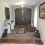 Casa à venda com 6 quartos, sendo 4 suítes, em Vila Sônia, São Paulo, SP