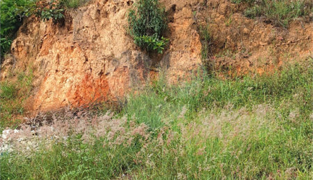 Terreno à venda em Cidade Nova, Bom Jesus dos Perdões, SP