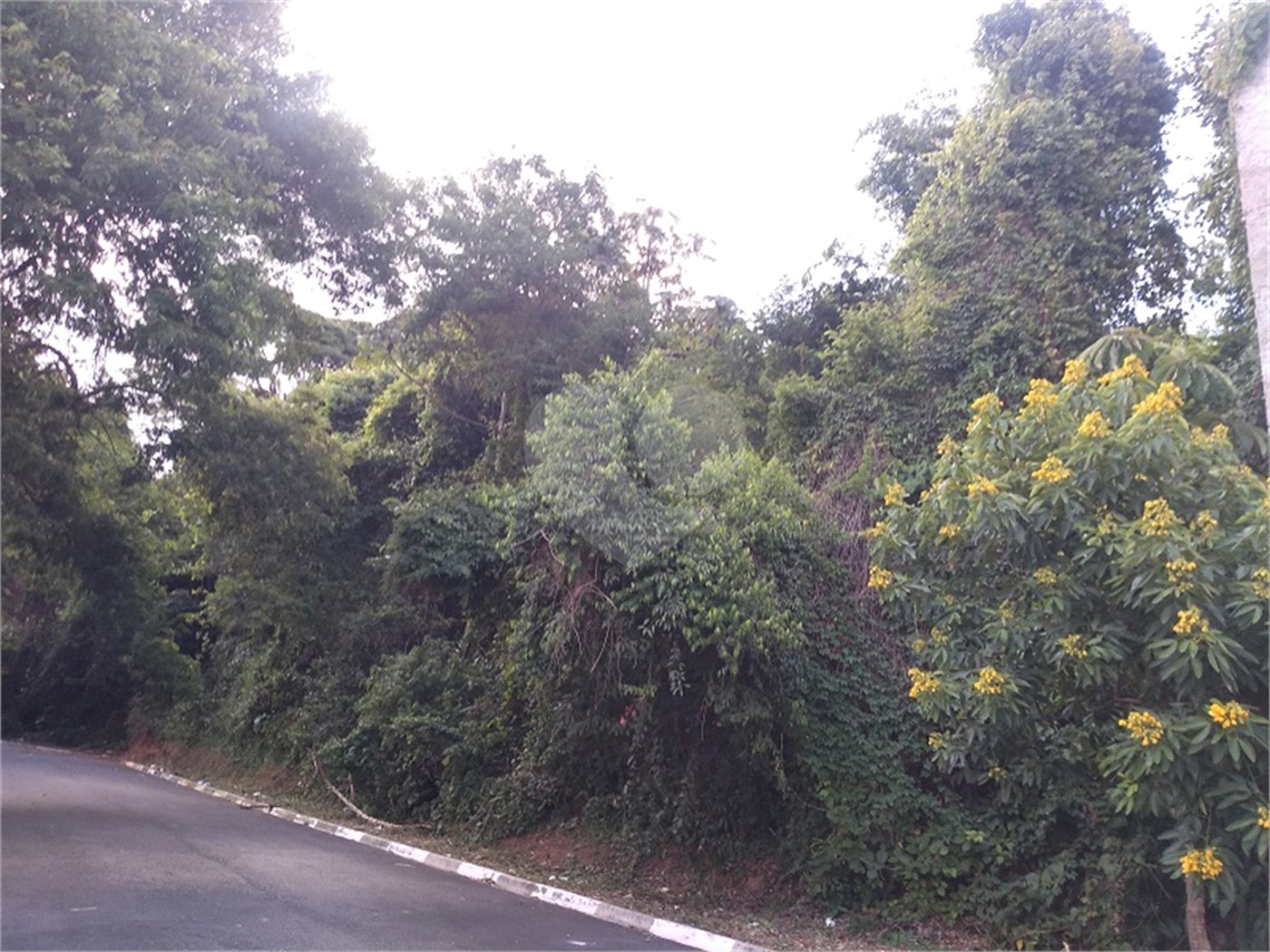 Terreno à venda em Vila Junqueira, Atibaia, SP