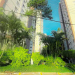 Apartamento à venda com 2 quartos em Horto Florestal, São Paulo, SP