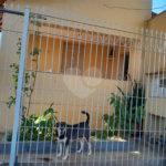 Casa Térrea à venda com 5 quartos no Centro, Indaiatuba, SP