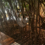 Casa à venda com 5 suítes em Barra da Tijuca, Rio de Janeiro, RJ