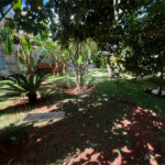 Casa à venda ou para alugar com 2 quartos, sendo 1 suíte,  em Vila Novo Horizonte, Itapetininga, SP