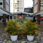 Apartamento à venda com 3 quartos, sendo 1 suíte, em Vila Guarani (z Sul), São Paulo, SP