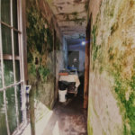 Sobrado à venda com 6 quartos em Água Fria, São Paulo, SP