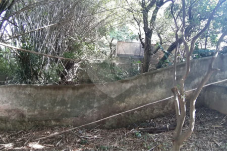 Terreno à venda em Santa Teresinha, São Paulo, SP