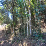 Condomínio à venda em Caraguatá, Mairiporã, SP