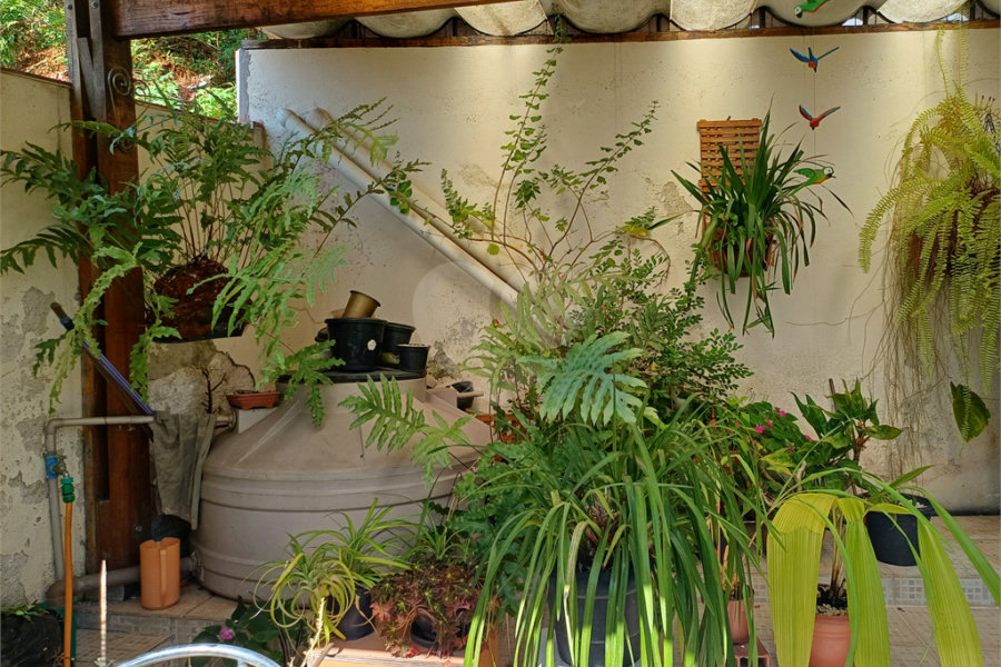 Sobrado à venda com 3 quartos, sendo 1 suíte, em Vila Guilherme, São Paulo, SP