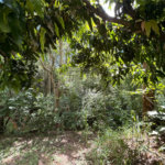Chácara à venda com 3 quartos, sendo 1 suíte, no Centro, Araçoiaba da Serra, SP