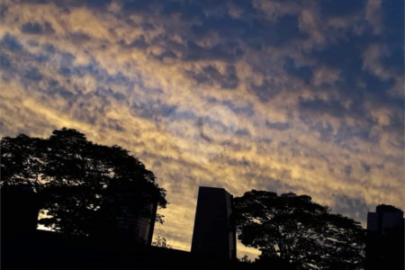 Apartamento à venda com 2 quartos em Jardim São João (jaraguá), São Paulo, SP