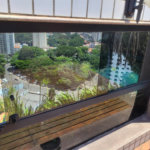 Apartamento à venda com 6 quartos, sendo 1 suíte, em Parque da Mooca, São Paulo, SP