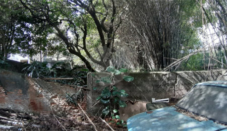 Terreno à venda em Santa Teresinha, São Paulo, SP