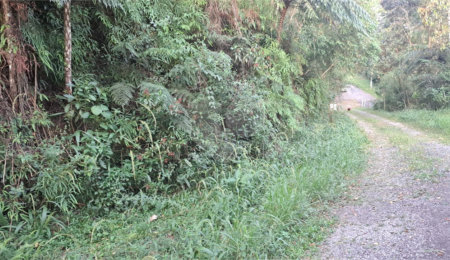 Terreno à venda no condomínio Associação Reserva das Hortênsias, Mairiporã - SP