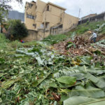 Terreno à venda em Tucuruvi, São Paulo, SP