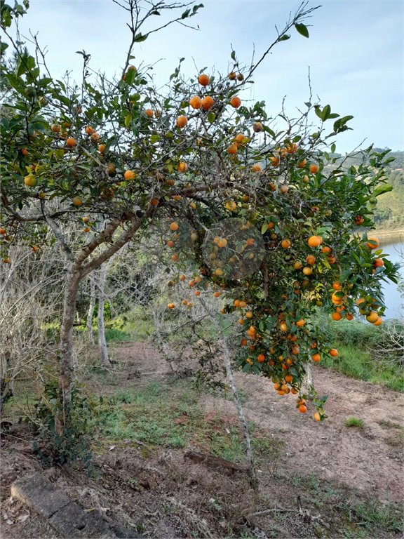 Sítio à venda no Centro, Salesópolis, SP