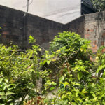 Prédio à venda ou para alugar em Freguesia do Ó, São Paulo, SP