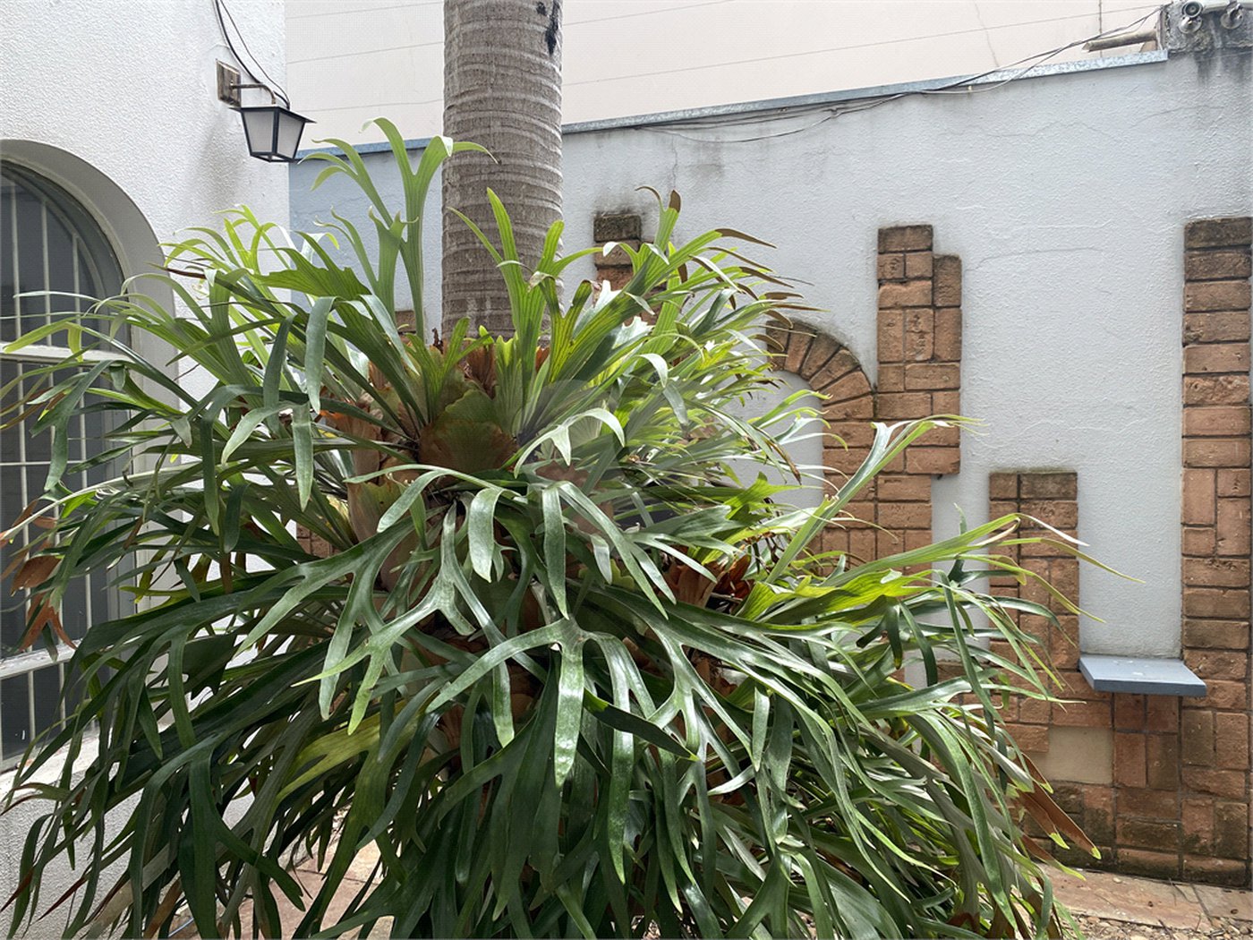 Casa à venda com 3 suítes em Jardim Leonor, São Paulo, SP