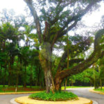 Terreno à venda em Alto da Boa Vista, São Paulo, SP