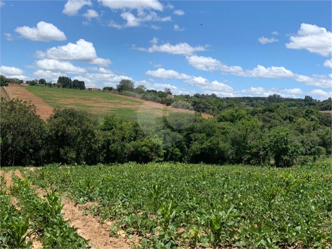 Área de Terra à venda em Cristóvão, Araçoiaba da Serra, SP