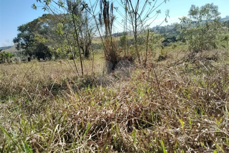 Sítio à venda com 3 quartos, sendo 1 suíte,  em Da Barra, Salto de Pirapora, SP