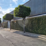 Terreno à venda em Campo Grande, São Paulo, SP