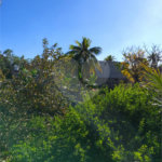 Área de Terra à venda com 1 quarto em Santa Cruz, Rio de Janeiro, RJ