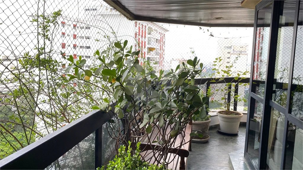 Apartamento à venda com 3 suítes em Vila Suzana, São Paulo, SP