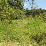 Chácara à venda com 1 quarto em Cruz das Almas, Biritiba-mirim, SP