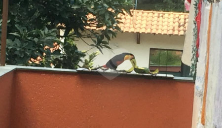 Sobrado à venda com 6 quartos, sendo 2 suítes,  em Horto Florestal, São Paulo, SP