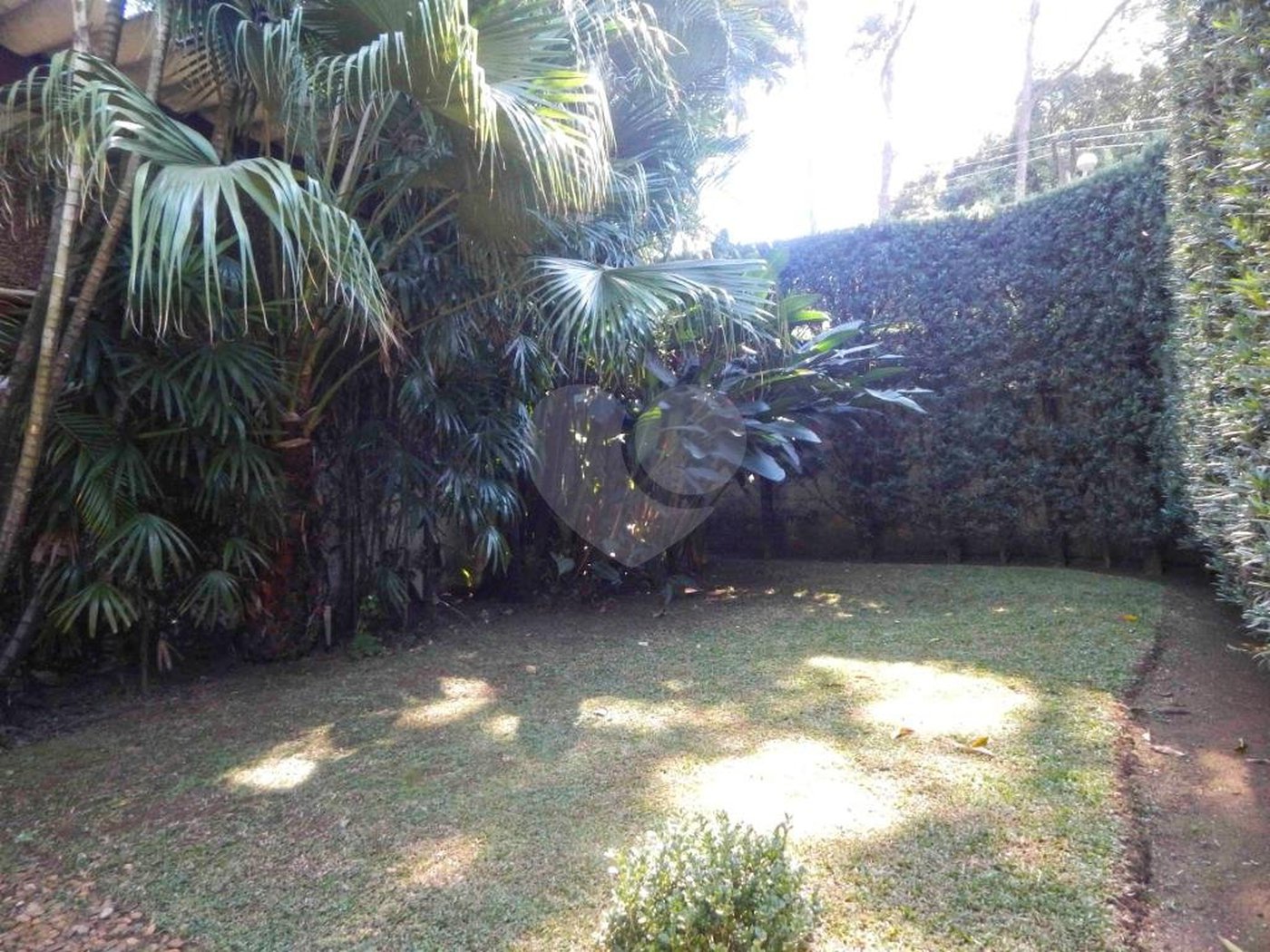 Casa Térrea à venda com 3 quartos, sendo 1 suíte,  em Chácara Monte Alegre, São Paulo, SP