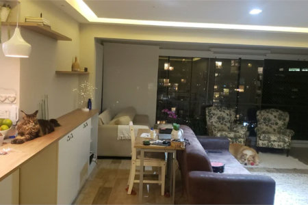 Apartamento à venda com 2 quartos, sendo 1 suíte, em Jardim Caboré, São Paulo, SP