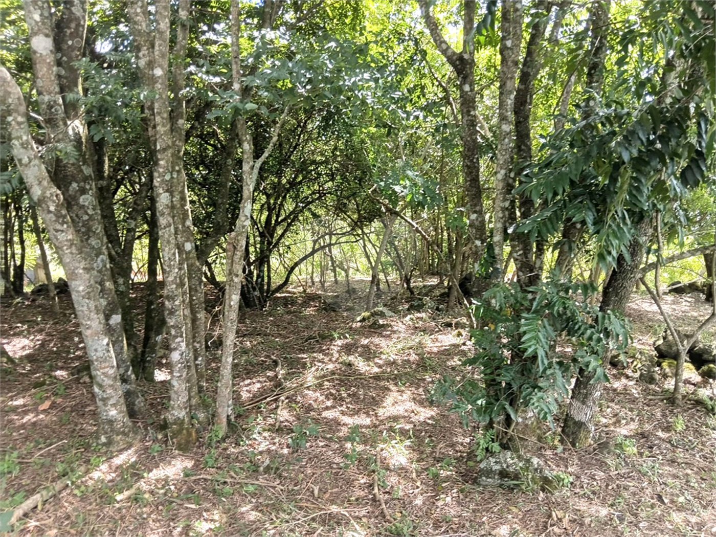Terreno à venda em Planalto Verde, São Roque, SP