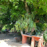 Chácara à venda com 3 quartos, sendo 2 suítes,  em Jundiacanga, Araçoiaba da Serra, SP