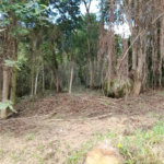 Loteamento à venda em Serra da Cantareira, São Paulo, SP