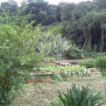 Fazenda à venda em Horto, São Paulo, SP