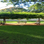 Apartamento à venda com 2 quartos em Parque Residencial Lagoinha, Ribeirão Preto, SP