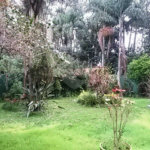Casa à venda ou para alugar com 5 quartos, sendo 3 suítes, em Mandaqui, São Paulo, SP