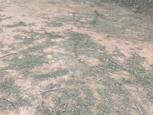 Terreno à venda no condomínio Associação Mirante da Mantiqueira, Mairiporã - SP