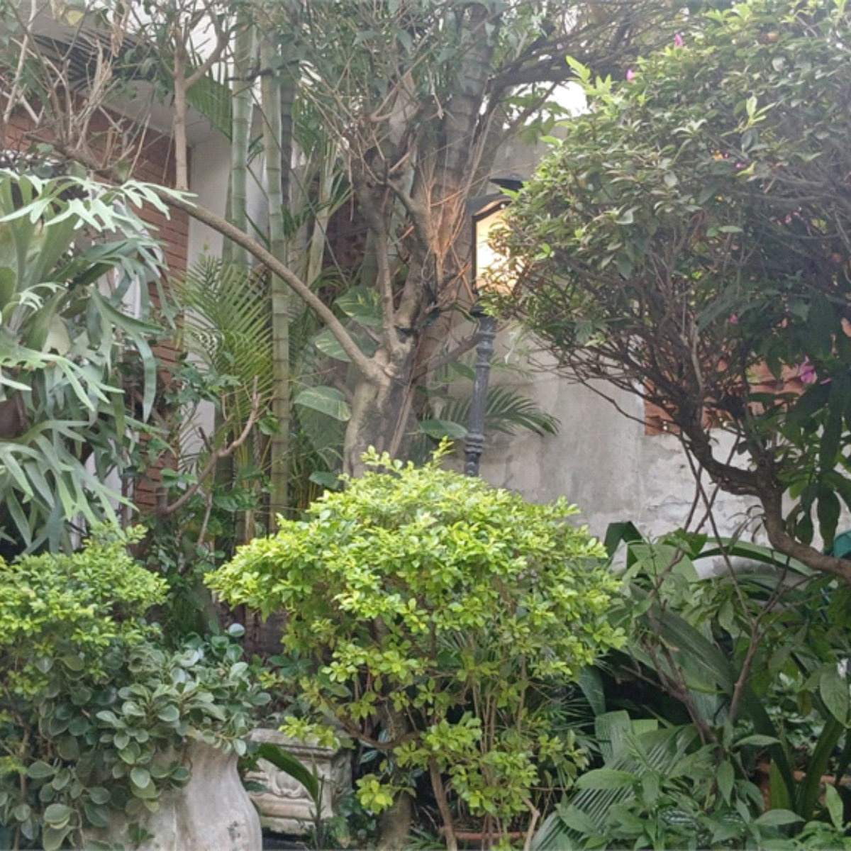 Casa à venda com 3 quartos, sendo 1 suíte, em Brooklin, São Paulo, SP