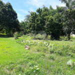 Terreno à venda em Cachoeira, Vinhedo, SP
