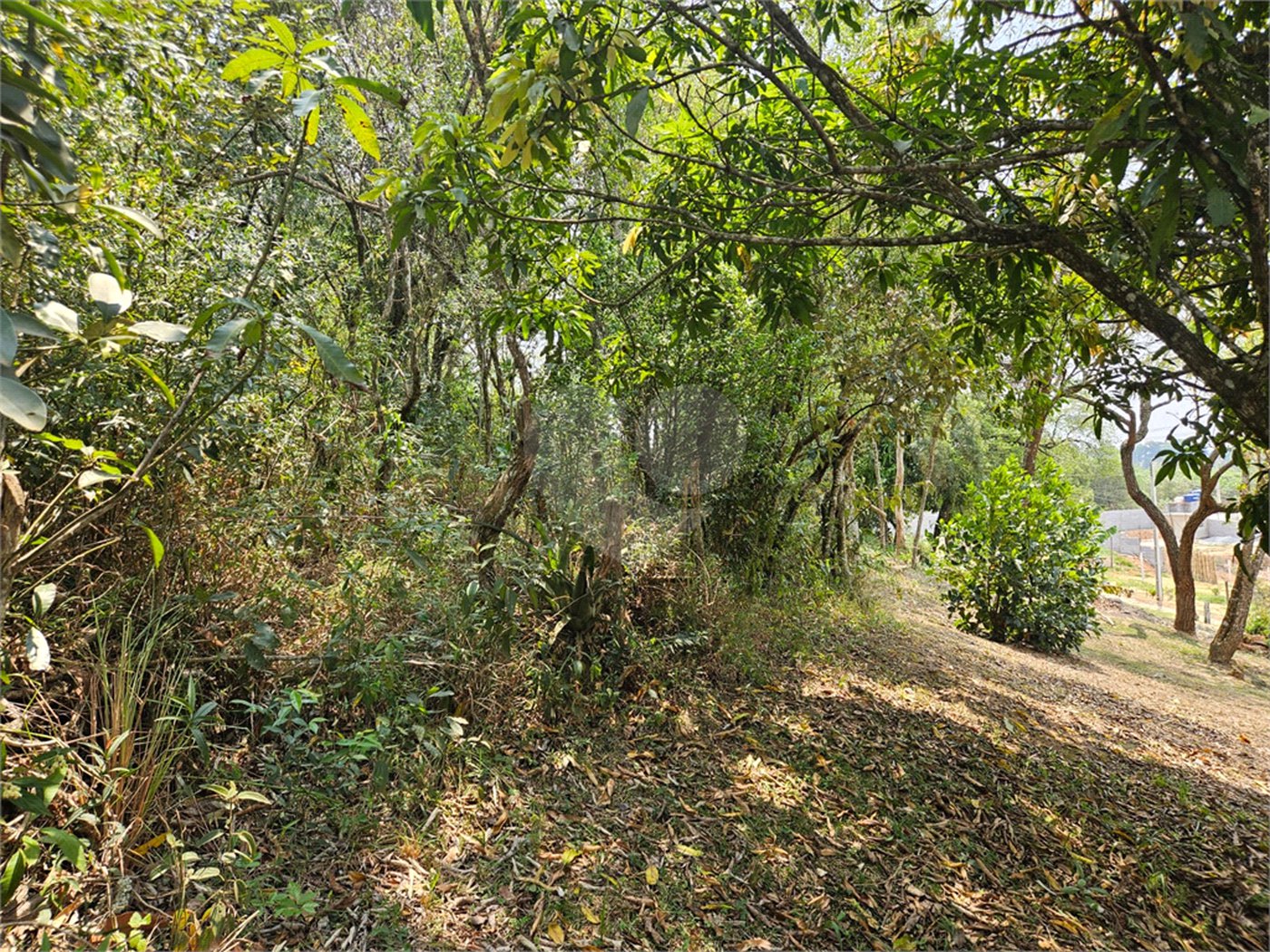 Terreno à venda em Curral, Ibiúna, SP