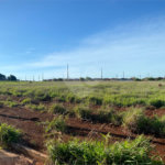 Terreno à venda em Residencial Jamil Saldanha Derzi, Ponta Porã, MS