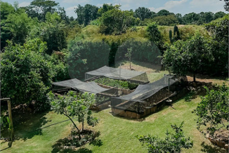 Casa à venda com 4 suítes no condomínio Monte Belo, Salto - SP
