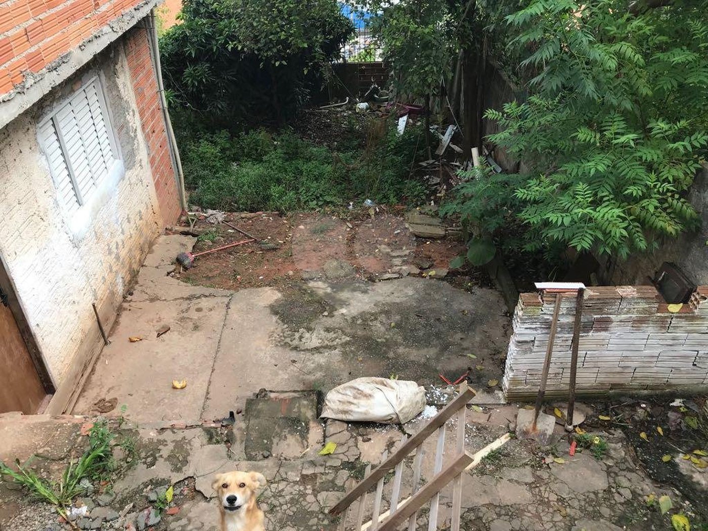 Terreno à venda com 3 quartos em Limão, São Paulo, SP